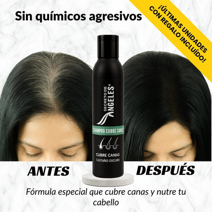 Shampoo Cubre Canas Secreto de Ángeles + 2 Regalos